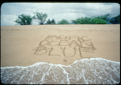 Pacific Ocean Blue Dennis Wilson Rar