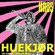 Cover: Kaos - Huekjør og andre landeplager (2009)
