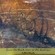 Cover: Ajilvsga - From the Black River to the Dead Sea (2005)
